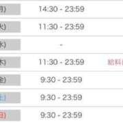 ヒメ日記 2026/06/21 17:50 投稿 ルナ 石庭
