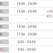 ヒメ日記 2026/06/27 20:35 投稿 ルナ 石庭