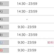 ヒメ日記 2026/07/19 20:35 投稿 ルナ 石庭