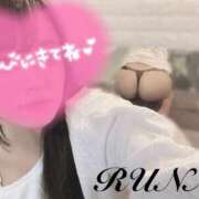 ヒメ日記 2026/08/01 09:50 投稿 ルナ 石庭