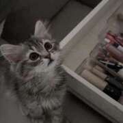 ヒメ日記 2026/04/23 15:58 投稿 ♡りり♡ アイコレクション女学院