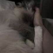 ヒメ日記 2026/04/24 14:28 投稿 ♡りり♡ アイコレクション女学院