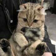 ヒメ日記 2026/04/25 14:58 投稿 ♡りり♡ アイコレクション女学院