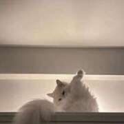 ヒメ日記 2026/05/06 14:28 投稿 ♡りり♡ アイコレクション女学院