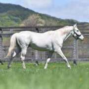 ヒメ日記 2024/12/22 16:27 投稿 みお 岐阜岐南各務原ちゃんこ