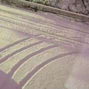 ヒメ日記 2025/01/10 07:27 投稿 みお 岐阜岐南各務原ちゃんこ