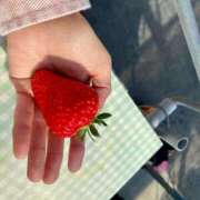 ヒメ日記 2025/02/27 12:57 投稿 みお 岐阜岐南各務原ちゃんこ