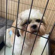 ヒメ日記 2025/06/11 13:37 投稿 みお 岐阜岐南各務原ちゃんこ