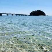 ヒメ日記 2025/08/16 15:07 投稿 みお 岐阜岐南各務原ちゃんこ