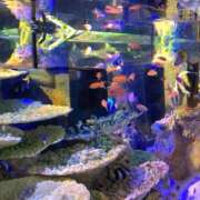 ヒメ日記 2025/08/20 08:57 投稿 みお 岐阜岐南各務原ちゃんこ