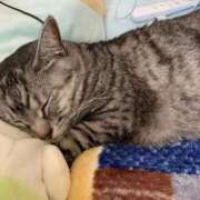 ヒメ日記 2025/09/15 21:07 投稿 みお 岐阜岐南各務原ちゃんこ