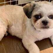 ヒメ日記 2025/09/30 16:17 投稿 みお 岐阜岐南各務原ちゃんこ