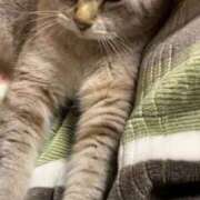 ヒメ日記 2025/10/12 09:07 投稿 みお 岐阜岐南各務原ちゃんこ