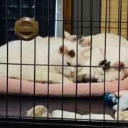 ヒメ日記 2025/10/23 08:07 投稿 みお 岐阜岐南各務原ちゃんこ