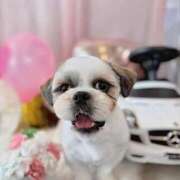 ヒメ日記 2025/10/30 07:37 投稿 みお 岐阜岐南各務原ちゃんこ