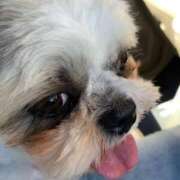 ヒメ日記 2025/12/09 12:41 投稿 みお 岐阜岐南各務原ちゃんこ