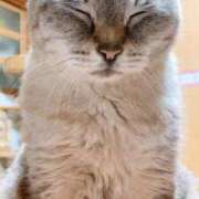 ヒメ日記 2026/01/18 19:47 投稿 みお 岐阜岐南各務原ちゃんこ