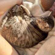 ヒメ日記 2026/01/30 17:57 投稿 みお 岐阜岐南各務原ちゃんこ