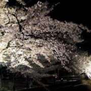 ヒメ日記 2025/04/04 21:57 投稿 なな 岐阜岐南各務原ちゃんこ