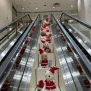 ヒメ日記 2025/11/21 23:07 投稿 なな 岐阜岐南各務原ちゃんこ