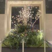 ヒメ日記 2025/02/01 15:23 投稿 みおん 東京人妻セレブリティ（ユメオト）