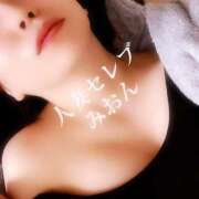 ヒメ日記 2025/03/08 12:10 投稿 みおん 東京人妻セレブリティ（ユメオト）