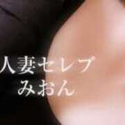 ヒメ日記 2025/04/19 15:22 投稿 みおん 東京人妻セレブリティ（ユメオト）