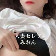 ヒメ日記 2025/05/30 14:50 投稿 みおん 東京人妻セレブリティ（ユメオト）