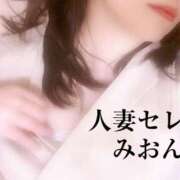 ヒメ日記 2025/07/31 00:26 投稿 みおん 東京人妻セレブリティ（ユメオト）