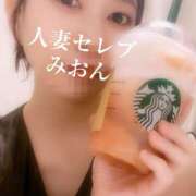 ヒメ日記 2025/08/19 18:15 投稿 みおん 東京人妻セレブリティ（ユメオト）