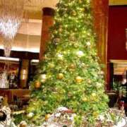 ヒメ日記 2025/12/25 20:41 投稿 みおん 東京人妻セレブリティ（ユメオト）