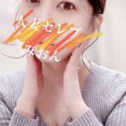 ヒメ日記 2026/01/31 15:17 投稿 みおん 東京人妻セレブリティ（ユメオト）