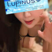 ヒメ日記 2025/05/20 08:08 投稿 さら ルピナス