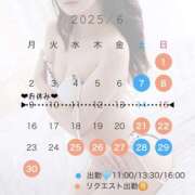 ヒメ日記 2025/06/01 09:51 投稿 さら ルピナス