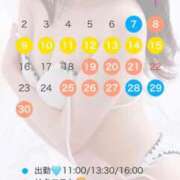 ヒメ日記 2025/06/04 18:54 投稿 さら ルピナス