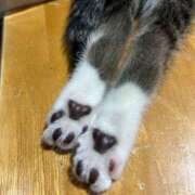 ヒメ日記 2024/12/21 19:00 投稿 みさと✖1【エロ人妻＆AF♡】 やん姫SP