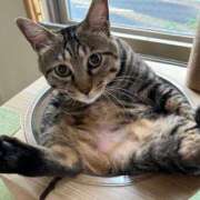 ヒメ日記 2024/12/23 11:27 投稿 みさと✖1【エロ人妻＆AF♡】 やん姫SP