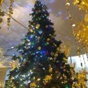 ヒメ日記 2025/12/23 12:03 投稿 一宮さくら 彩タマンサ（埼玉ハレ系）