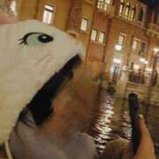 ヒメ日記 2025/02/28 17:25 投稿 あんず バニラシュガー古河店