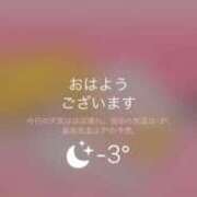 ヒメ日記 2025/02/12 08:18 投稿 みう ドマーニ