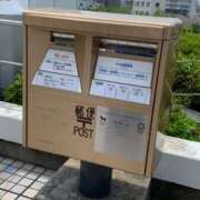 ヒメ日記 2025/06/22 08:01 投稿 みう ドマーニ