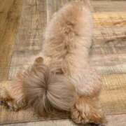 ヒメ日記 2025/09/15 05:18 投稿 みう ドマーニ