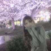 ヒメ日記 2026/04/02 07:37 投稿 みう ドマーニ