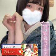 ヒメ日記 2025/03/27 10:06 投稿 あおい（花嫁） Yシャツと私