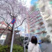 ヒメ日記 2025/03/29 13:15 投稿 あおい（花嫁） Yシャツと私