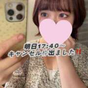 ヒメ日記 2025/09/06 15:44 投稿 あおい（花嫁） Yシャツと私