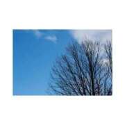 ヒメ日記 2025/01/18 14:20 投稿 まいな ハニープラザ（ユメオト）