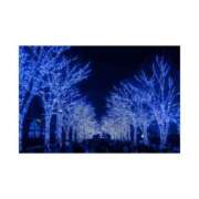 ヒメ日記 2025/01/18 23:05 投稿 まいな ハニープラザ（ユメオト）