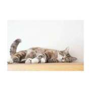 ヒメ日記 2025/01/23 17:02 投稿 まいな ハニープラザ（ユメオト）