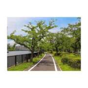 ヒメ日記 2025/01/25 14:00 投稿 まいな ハニープラザ（ユメオト）